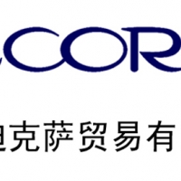 改装品牌运营代理迪克萨将再次亮相上海CAS